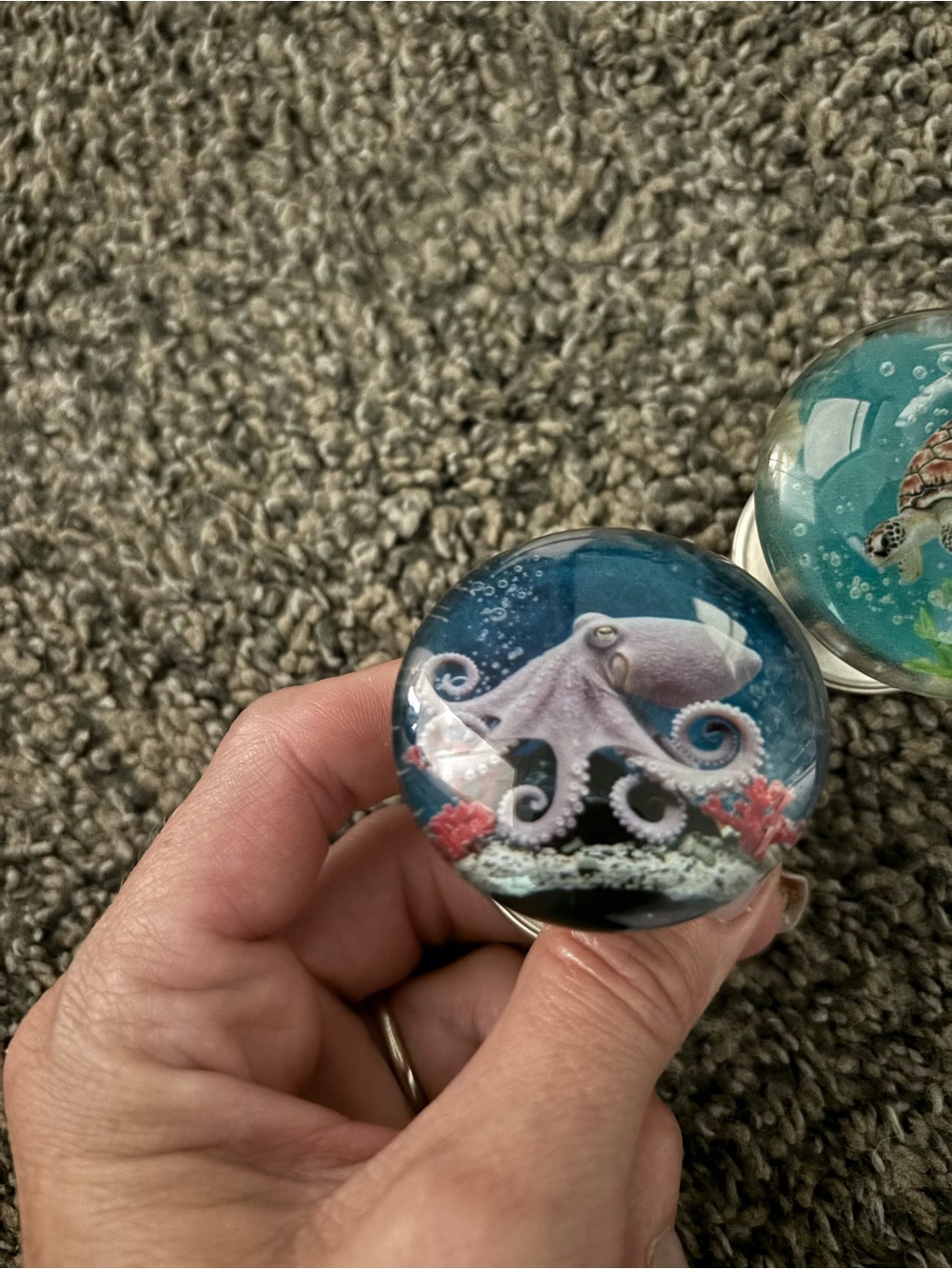 Ocean Creatures large knobs set - Octopus & Sea Turtle Set - Picture 8 of 9